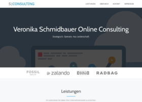 schmidbauer-consulting.de