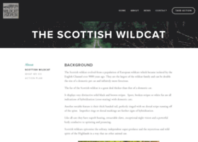scottishwildcats.co.uk