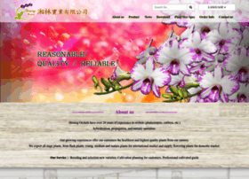 shiningorchids.com.tw