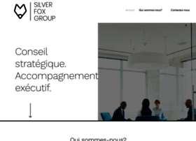 silverfox-group.com