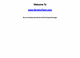 skykingtech.com
