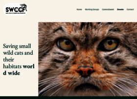 smallcats.org
