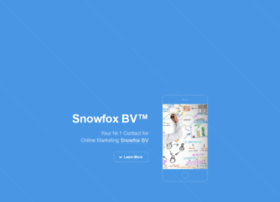snowfoxbv.com