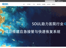 soul.com.cn