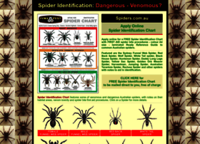 spiders.com.au
