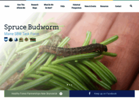 sprucebudwormmaine.org