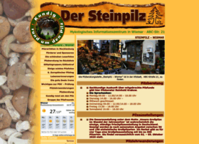 steinpilz-wismar.de