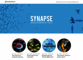 synapse.bio