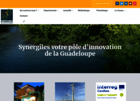 synergile.fr