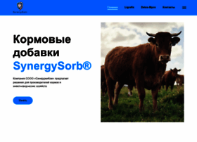 synergysorb.ru