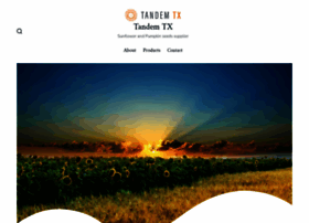 tandemtx.com