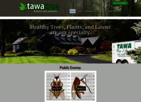tawatree.com