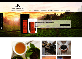 teaharvest.com.au