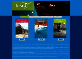 tesal.com