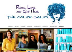 thecolorsalon.org
