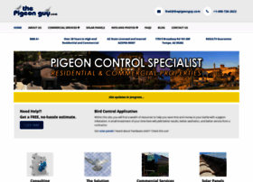 thepigeonguy.com