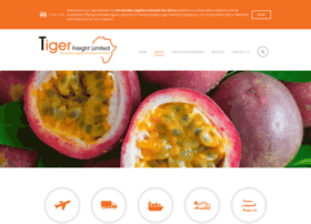 tiger-freight.com