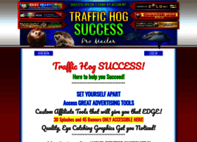 traffichogsuccess.com