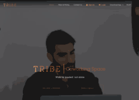tribekw.com