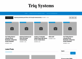 triqsystems.com