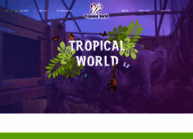 tropicalworld.ie