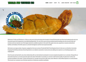 turtlesandtortoises.com