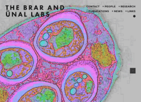 unal-and-brar-labs.org