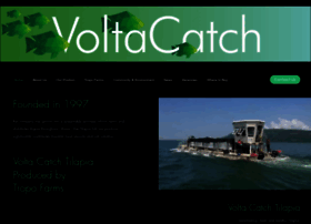 voltacatch.com