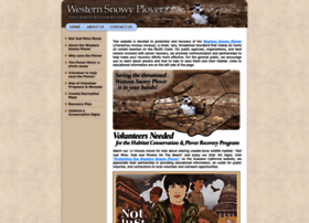 westernsnowyplover.org