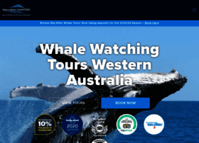 whales-australia.com.au