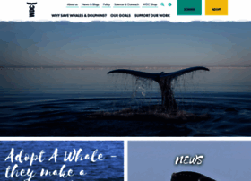 whales.org