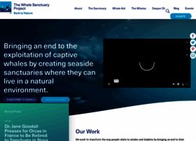whalesanctuaryproject.org