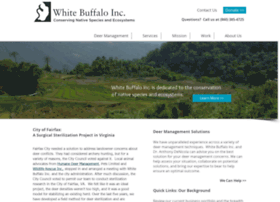 whitebuffaloinc.org