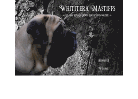 whititera-mastiffs.fr