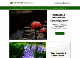 wholesalewaterlilies.com