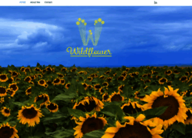 wildflowercolorado.com