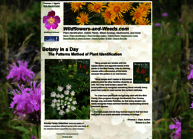 wildflowers-and-weeds.com