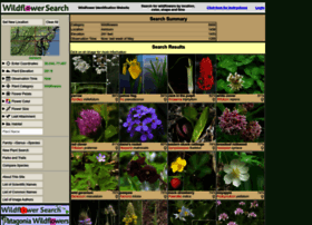 wildflowersearch.org