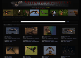 wildlife-photos.net