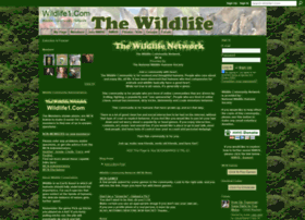 wildlife1.com