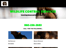 wildlifecontrolservicesct.com