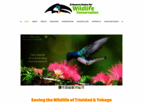 wildliferescuett.org