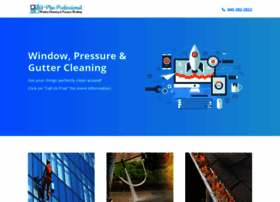 windowcleaningny.org