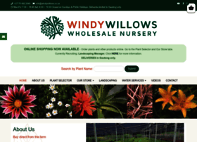 windywillows.co.za