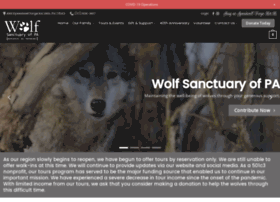 wolfsancpa.org