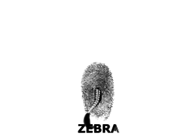 zebra.nl