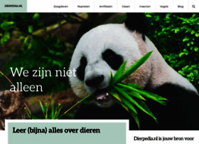 zooster.nl