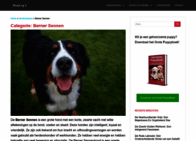 zwitsersesennenhond.nl