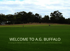 agbuffaloturf.com.au