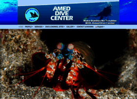 ameddivecenter.com